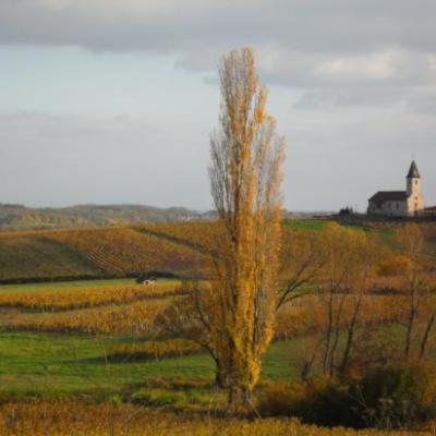 Balade d'Automne